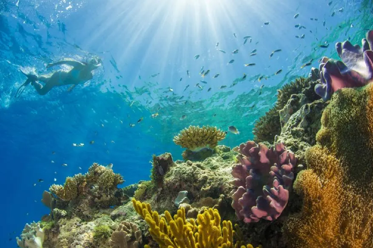 Red Sea Classic Diving Aqua center